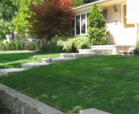 Landscape Design & Installation